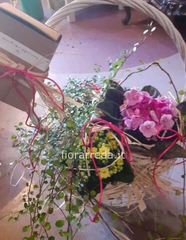 Cesto con Piante Miste e Candela