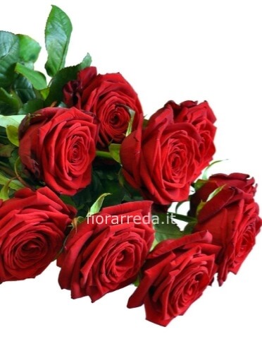 Rose rosse da comporre in mazzo per numero di steli.
