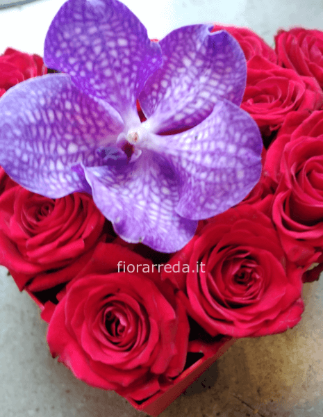 Cuore di rose colore rosso